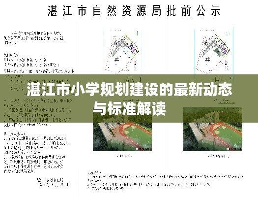 湛江市小学规划建设的最新动态与标准解读