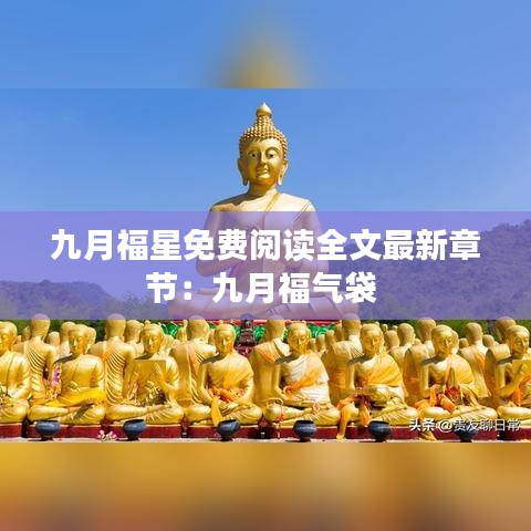 九月福星免费阅读全文最新章节：九月福气袋 