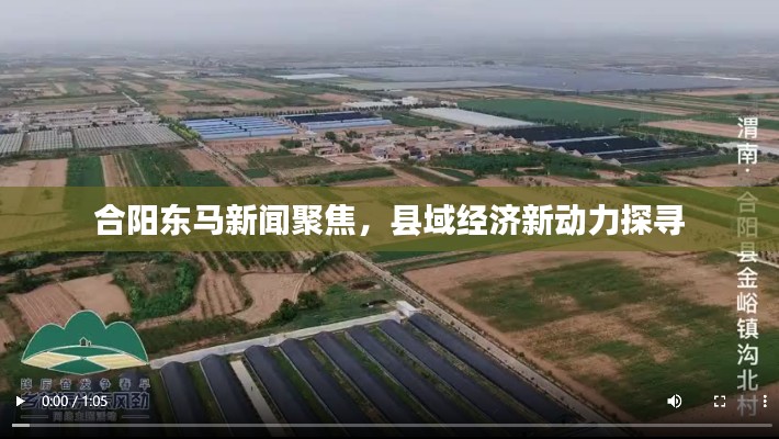 合阳东马新闻聚焦，县域经济新动力探寻
