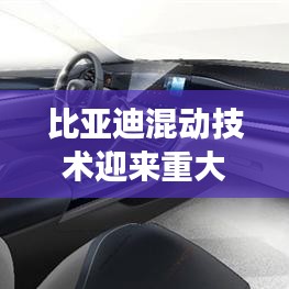 飞蛾扑火 第3页