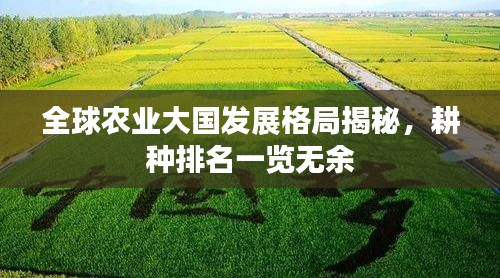 全球农业大国发展格局揭秘，耕种排名一览无余