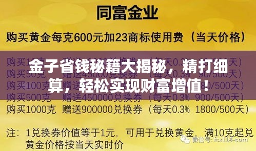 金子省钱秘籍大揭秘，精打细算，轻松实现财富增值！