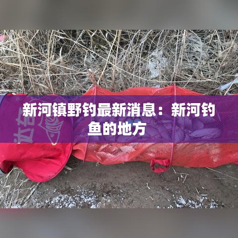 新河镇野钓最新消息：新河钓鱼的地方 
