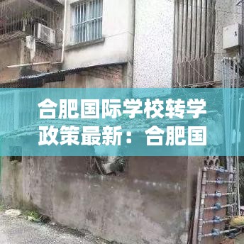 合肥国际学校转学政策最新：合肥国际小学怎么样啊 