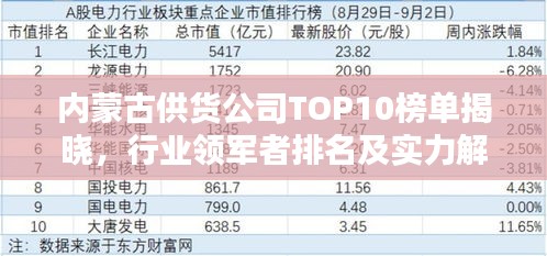 内蒙古供货公司TOP10榜单揭晓，行业领军者排名及实力解析