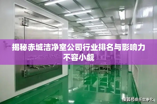 揭秘赤城洁净室公司行业排名与影响力不容小觑