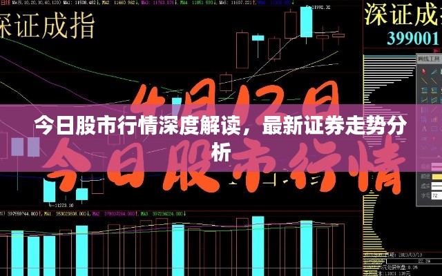 今日股市行情深度解读，最新证券走势分析