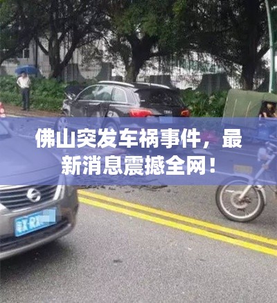 佛山突发车祸事件，最新消息震撼全网！