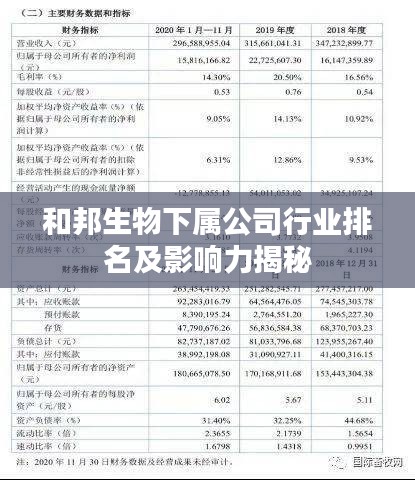 和邦生物下属公司行业排名及影响力揭秘