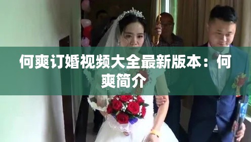 何爽订婚视频大全最新版本：何爽简介 