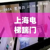 蹉跎岁月 第3页