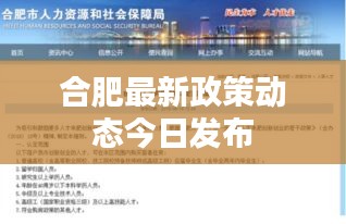 合肥最新政策动态今日发布