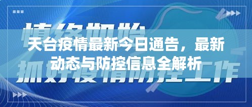 天台疫情最新今日通告，最新动态与防控信息全解析
