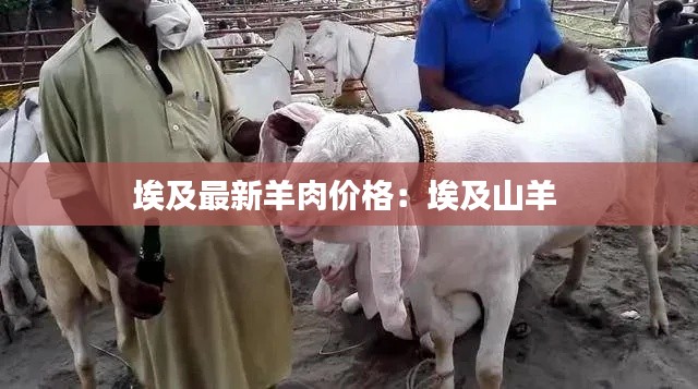 反正还淳 第3页