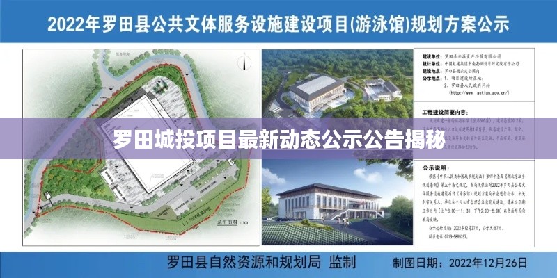 罗田城投项目最新动态公示公告揭秘