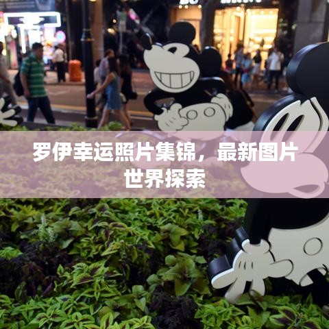 罗伊幸运照片集锦，最新图片世界探索