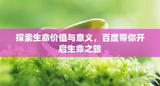 探索生命价值与意义，百度带你开启生命之旅