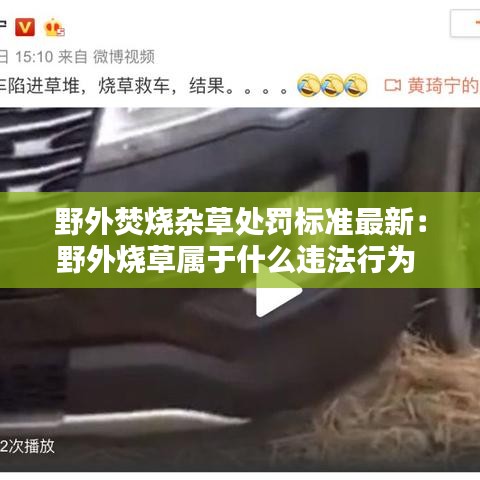 野外焚烧杂草处罚标准最新：野外烧草属于什么违法行为 