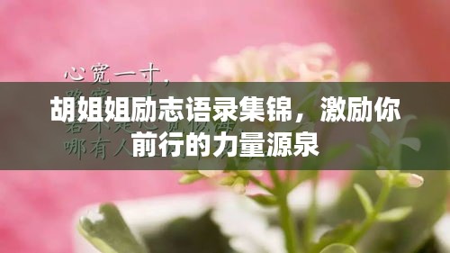 胡姐姐励志语录集锦，激励你前行的力量源泉