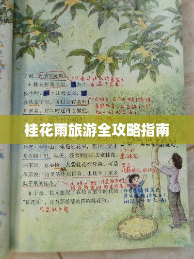 桂花雨旅游全攻略指南
