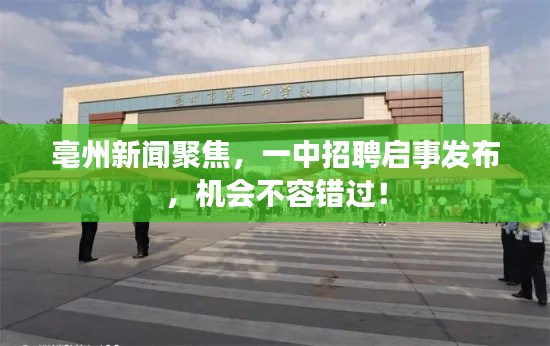 亳州新闻聚焦，一中招聘启事发布，机会不容错过！