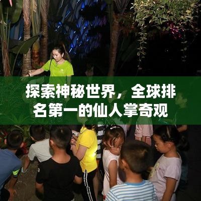 探索神秘世界，全球排名第一的仙人掌奇观