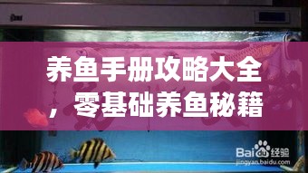 养鱼手册攻略大全，零基础养鱼秘籍，轻松成为养鱼达人！