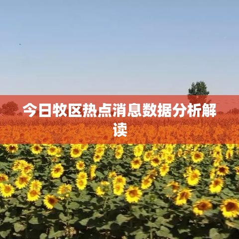 今日牧区热点消息数据分析解读