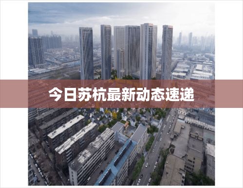 今日苏杭最新动态速递