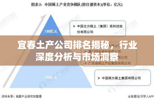 宜春土产公司排名揭秘，行业深度分析与市场洞察