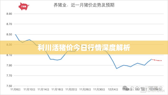 利川活猪价今日行情深度解析