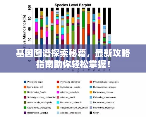 基因图谱探索秘籍，最新攻略指南助你轻松掌握！