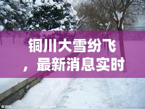 铜川大雪纷飞，最新消息实时更新