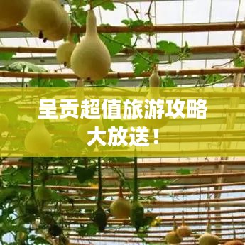 声如洪钟 第3页