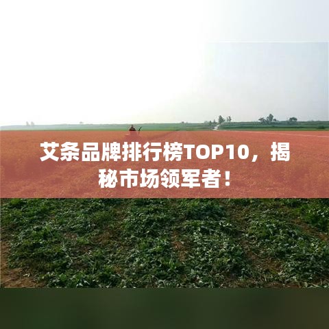 乌鸟私情 第4页