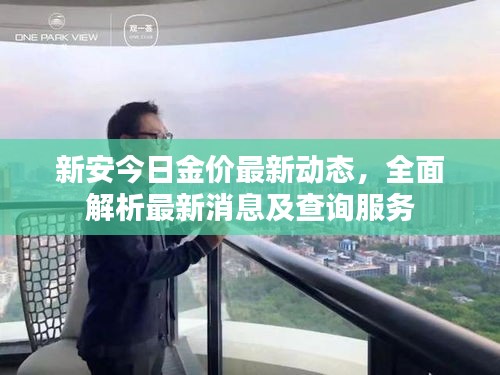 新安今日金价最新动态，全面解析最新消息及查询服务