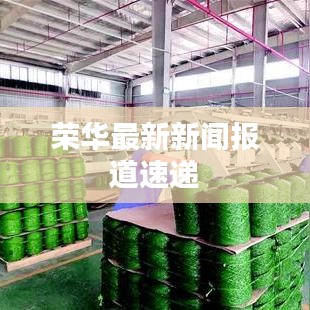 荣华最新新闻报道速递