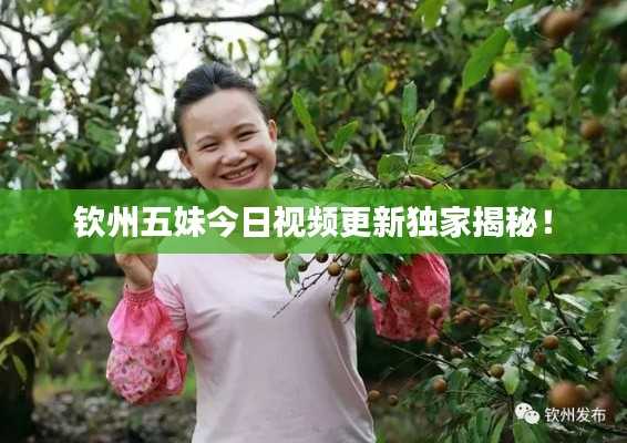 雍容尔雅 第3页