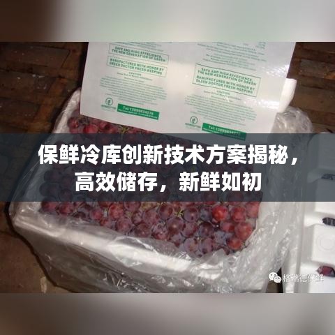 保鲜冷库创新技术方案揭秘，高效储存，新鲜如初
