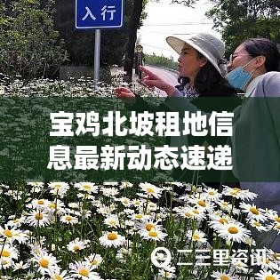 宝鸡北坡租地信息最新动态速递