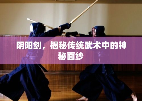 阴阳剑，揭秘传统武术中的神秘面纱
