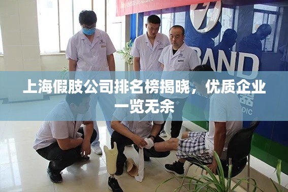 上海假肢公司排名榜揭晓，优质企业一览无余