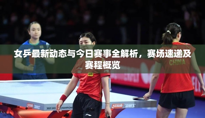 女乒最新动态与今日赛事全解析，赛场速递及赛程概览
