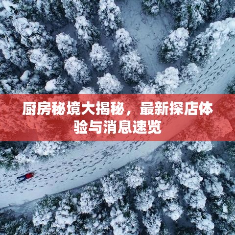厨房秘境大揭秘，最新探店体验与消息速览