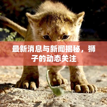 最新消息与新闻揭秘，狮子的动态关注