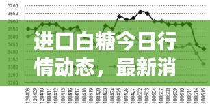 进口白糖今日行情动态，最新消息速递