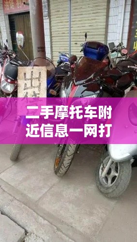韦编三绝 第3页