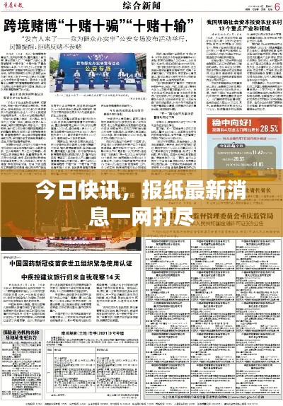 今日快讯，报纸最新消息一网打尽