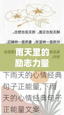 雨天里的励志力量，励志文章与语录激励人心