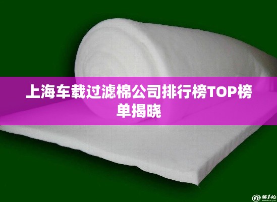 上海车载过滤棉公司排行榜TOP榜单揭晓